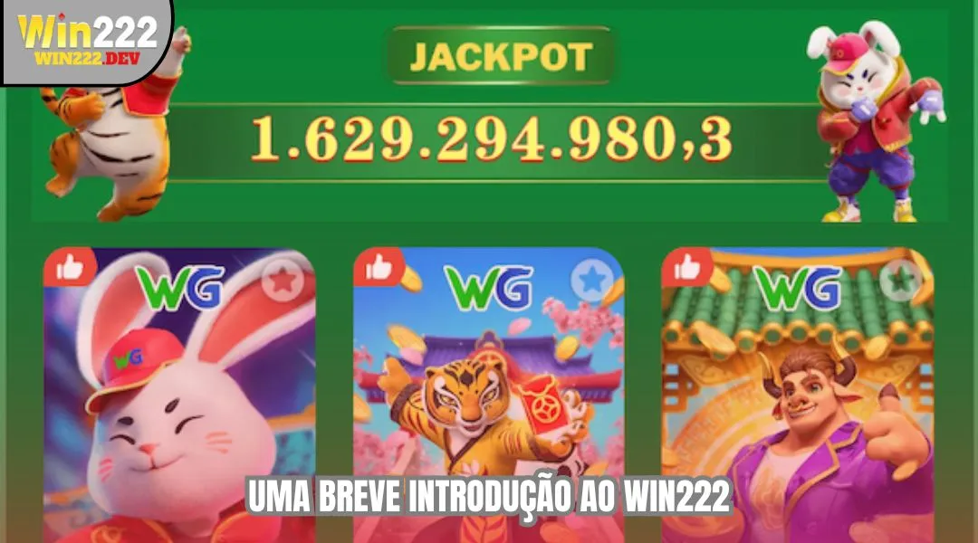 Uma breve introdução ao WIN222