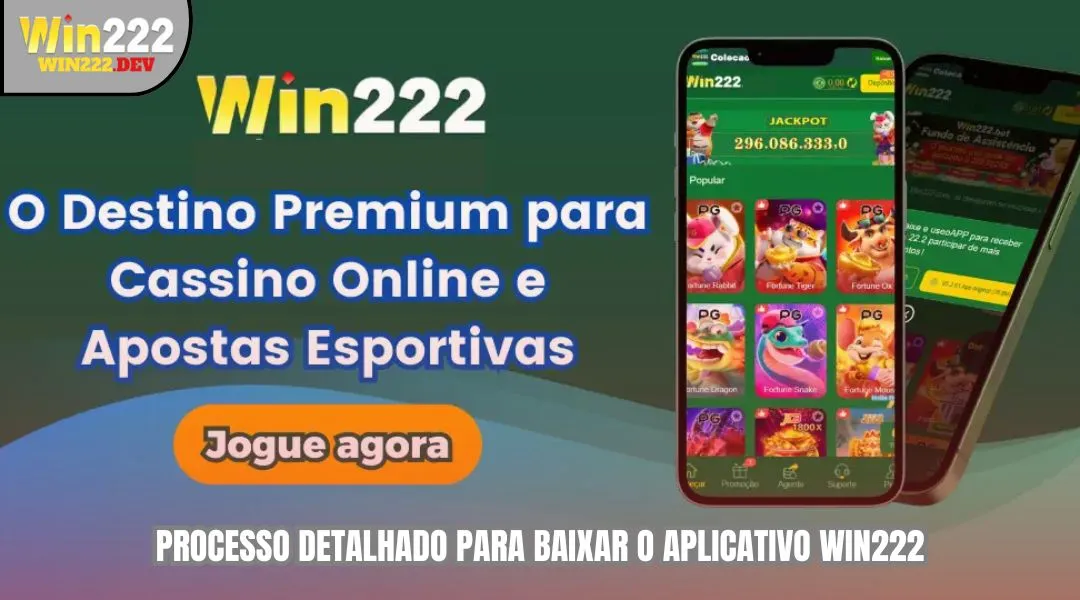 Processo detalhado para baixar o aplicativo WIN222